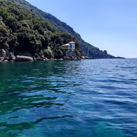 كامولّي Villa Albachiara المظهر الخارجي الصورة