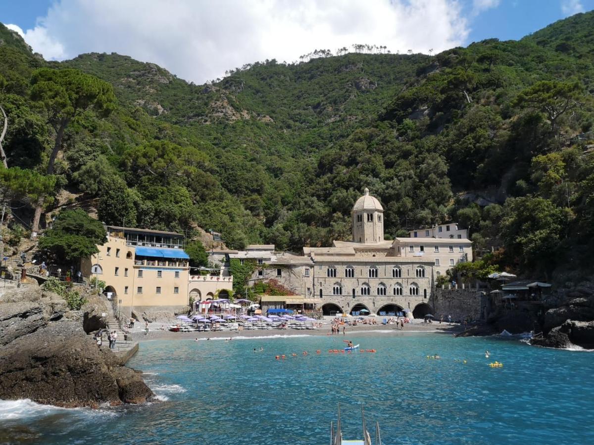 كامولّي Villa Albachiara المظهر الخارجي الصورة