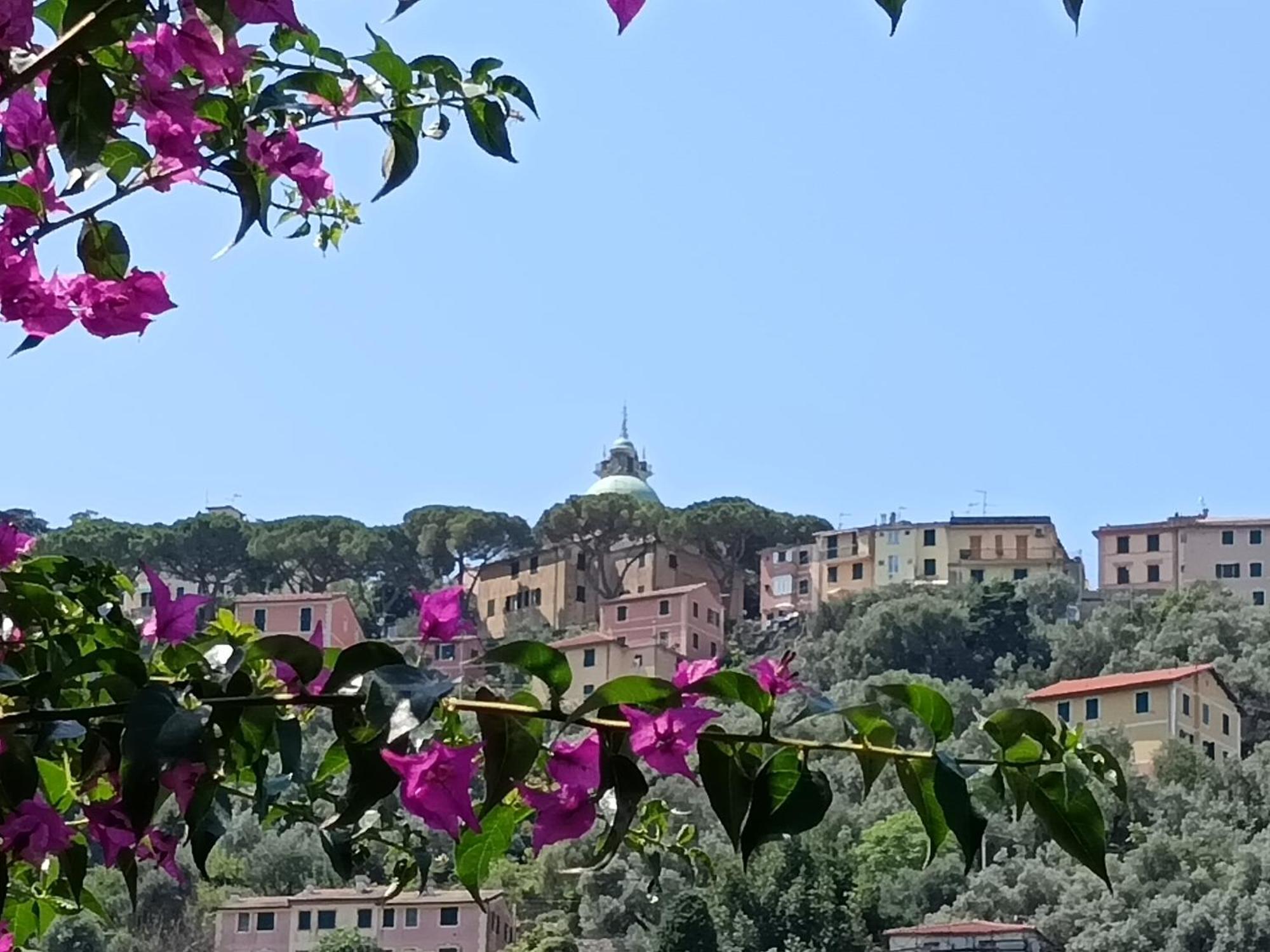 كامولّي Villa Albachiara المظهر الخارجي الصورة