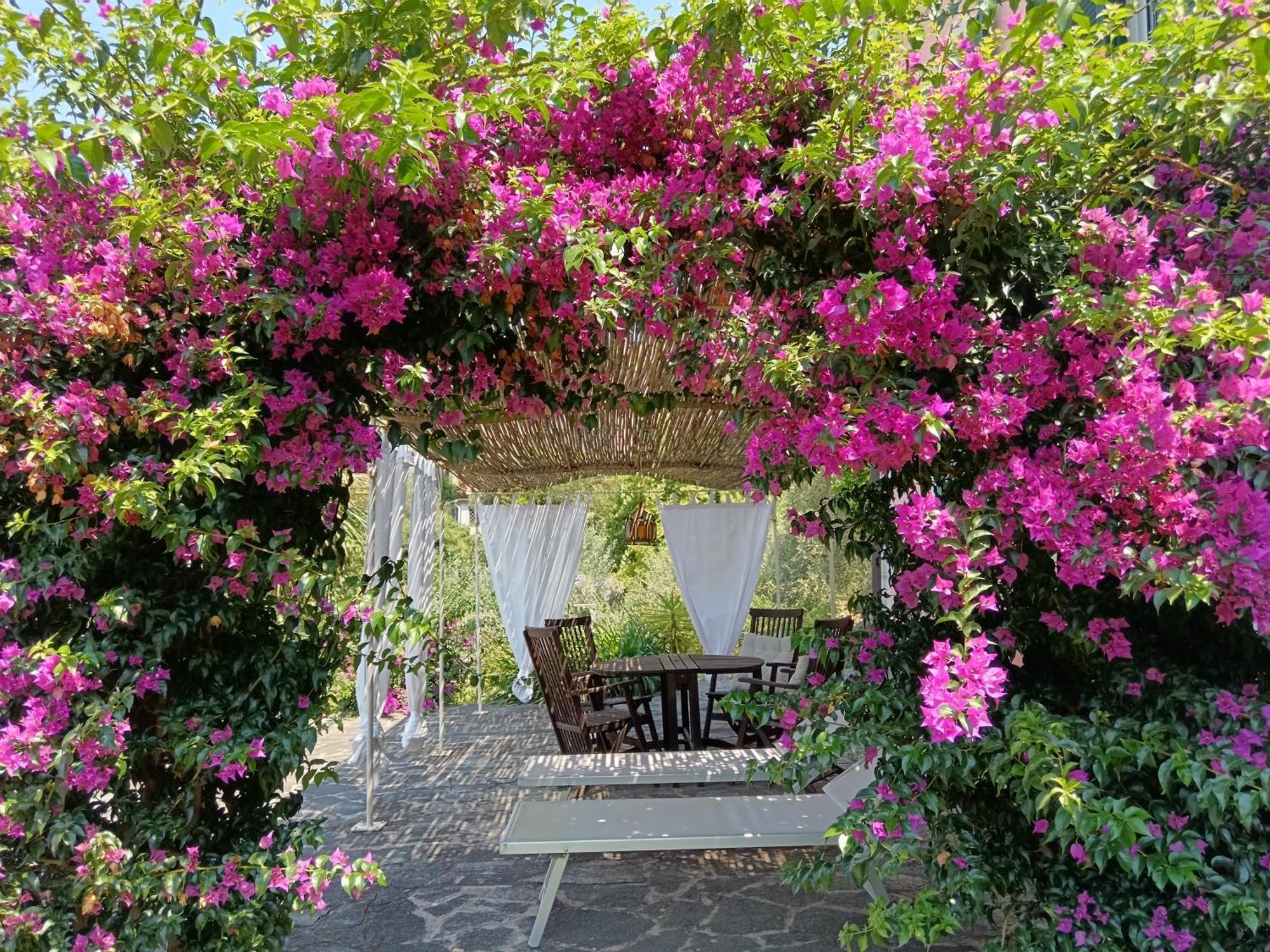 كامولّي Villa Albachiara المظهر الخارجي الصورة