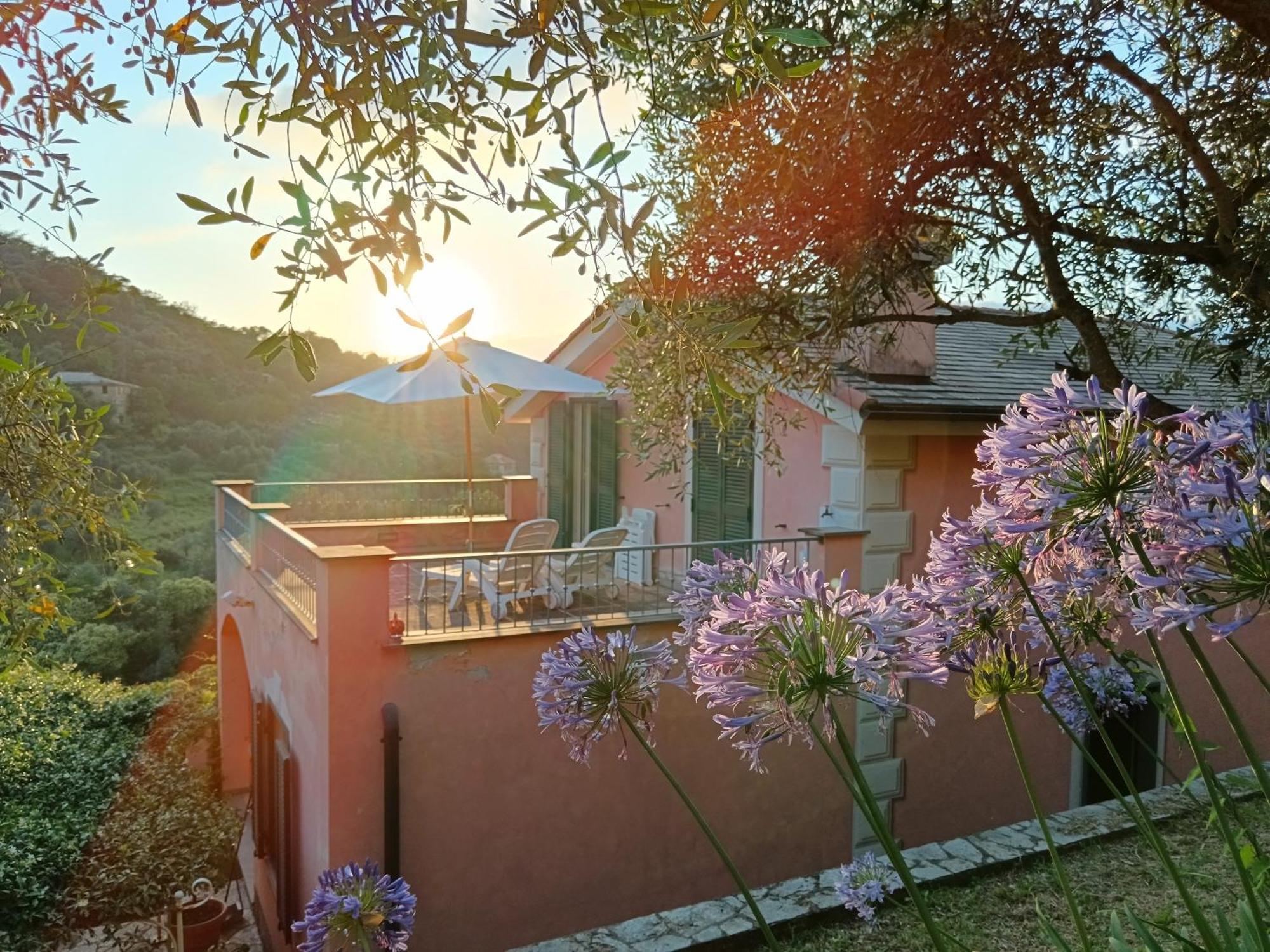كامولّي Villa Albachiara المظهر الخارجي الصورة