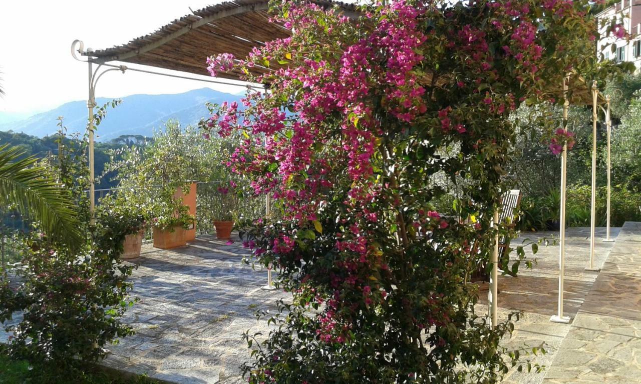 كامولّي Villa Albachiara المظهر الخارجي الصورة