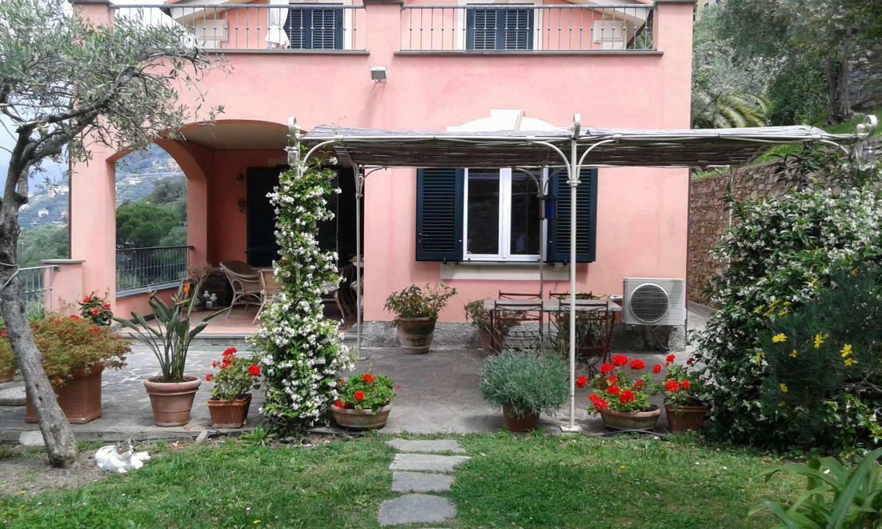كامولّي Villa Albachiara المظهر الخارجي الصورة