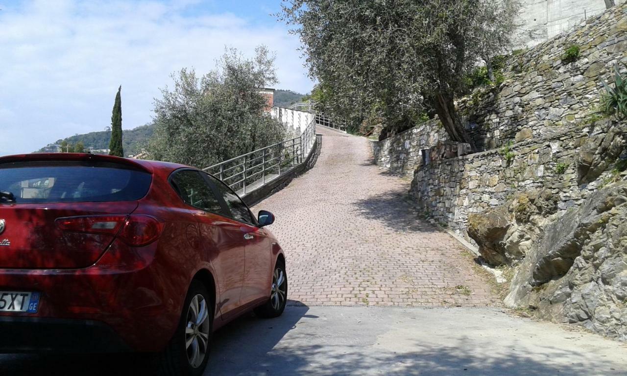 كامولّي Villa Albachiara المظهر الخارجي الصورة