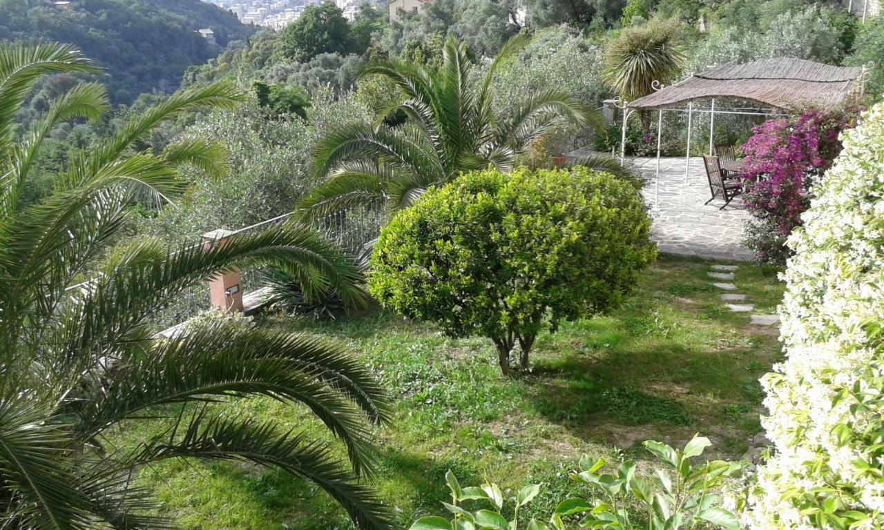 كامولّي Villa Albachiara المظهر الخارجي الصورة